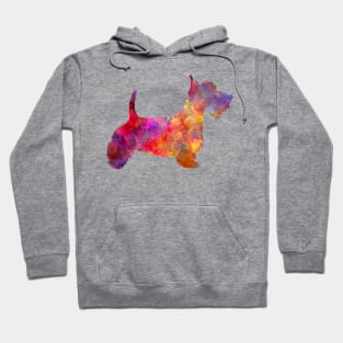 Scottish Terrier in watercolor Hoodie